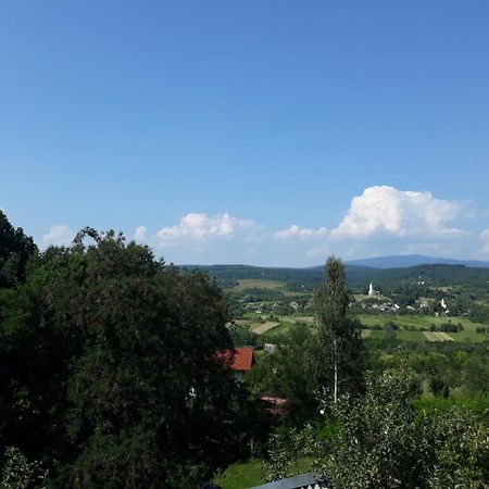 Котедж "Лісовий Затишок" Glubokoye Extérieur photo