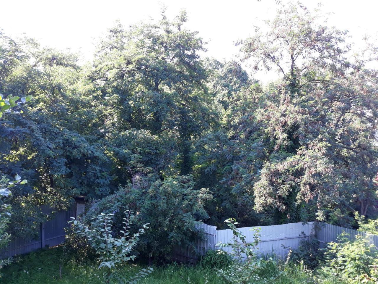 Котедж "Лісовий Затишок" Glubokoye Extérieur photo
