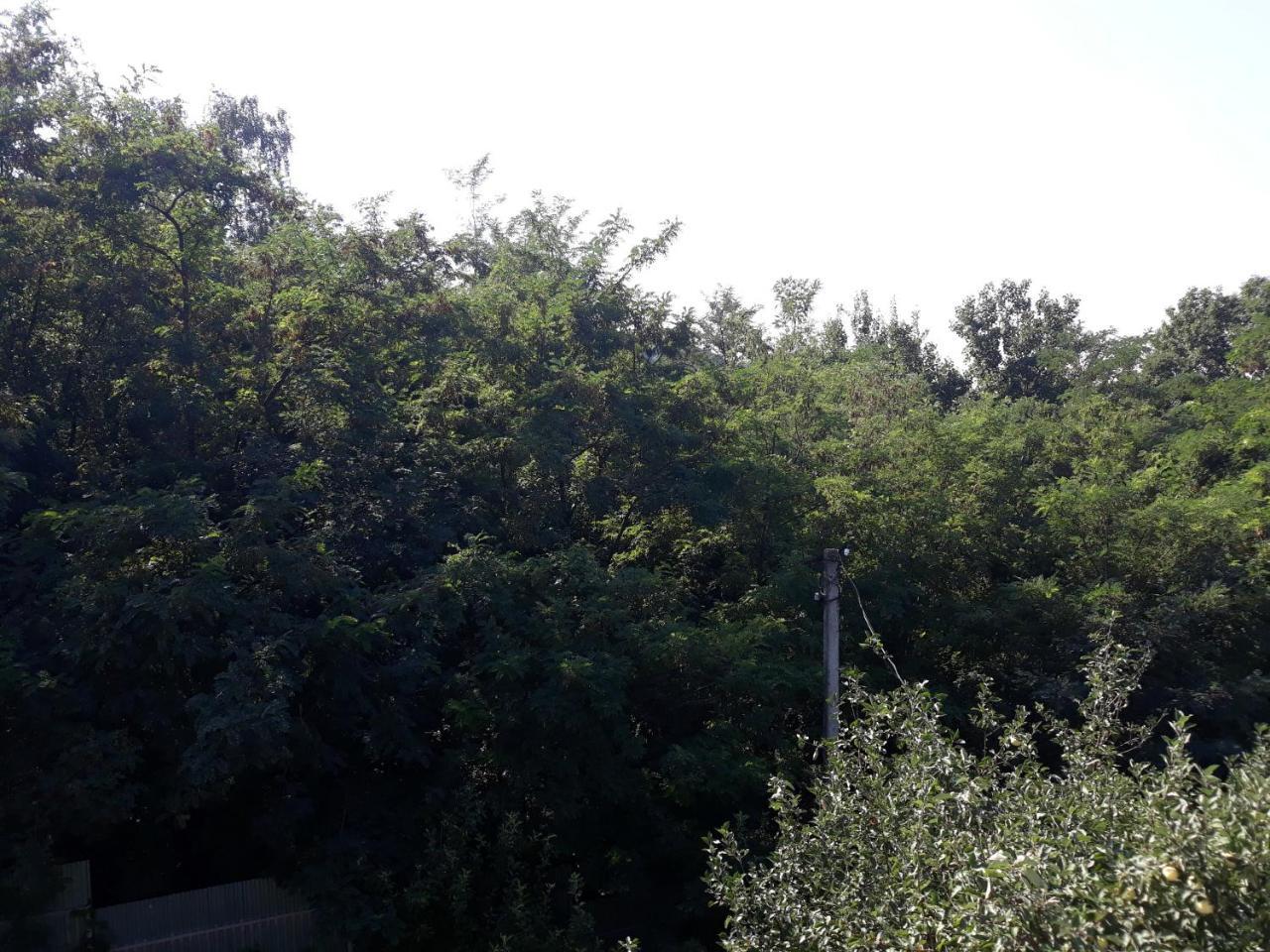 Котедж "Лісовий Затишок" Glubokoye Extérieur photo