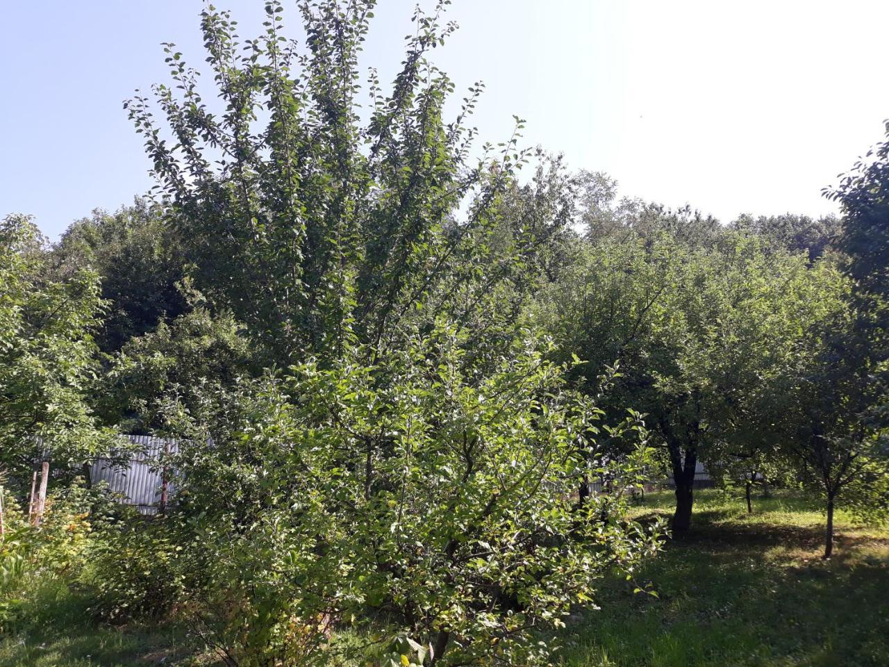 Котедж "Лісовий Затишок" Glubokoye Extérieur photo