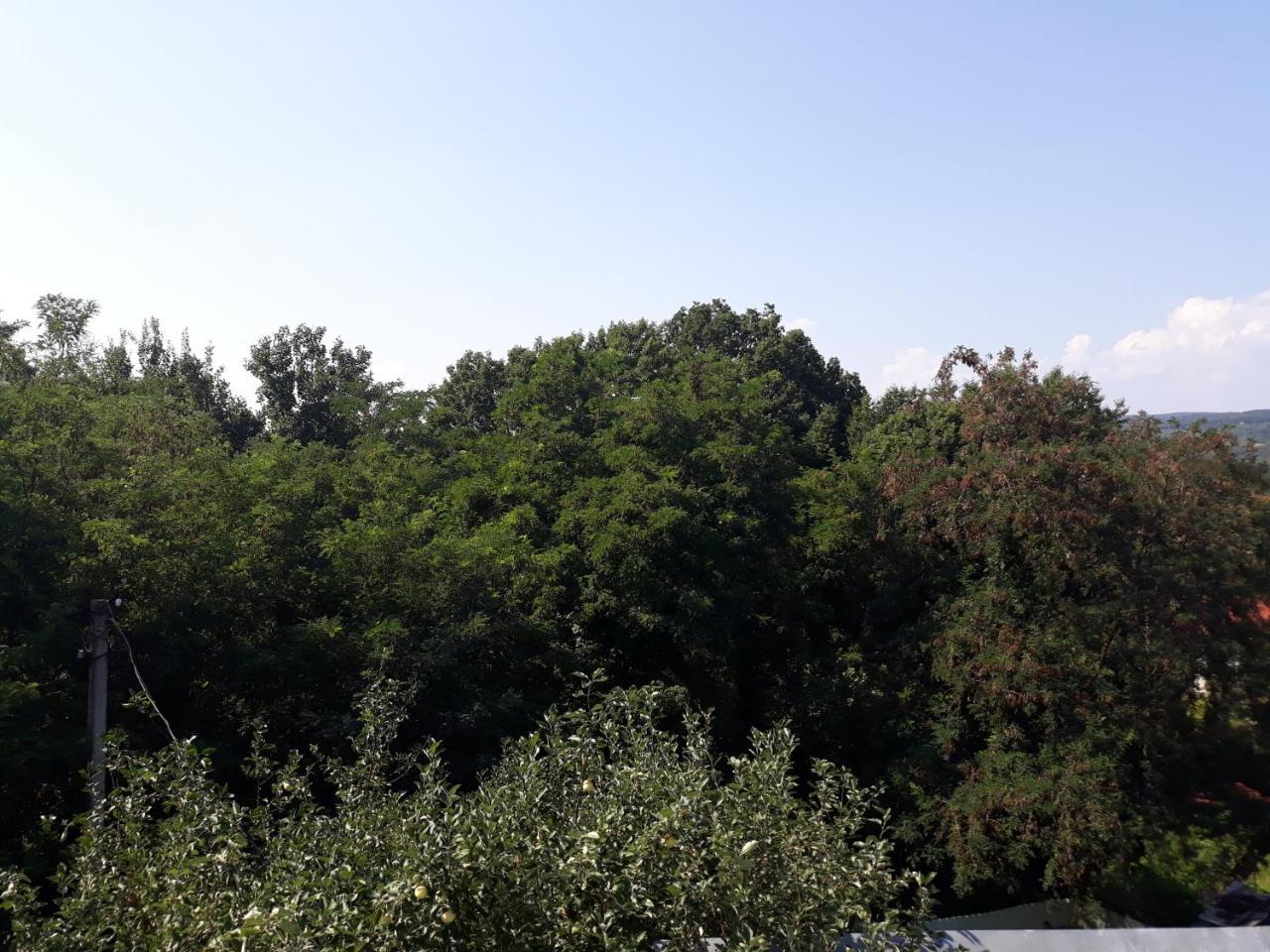 Котедж "Лісовий Затишок" Glubokoye Extérieur photo